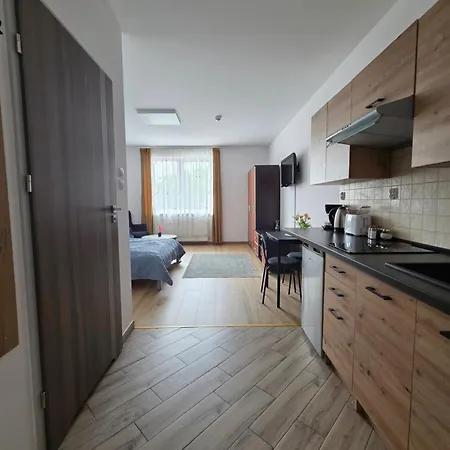 Zachodnia Przystan Apartment *